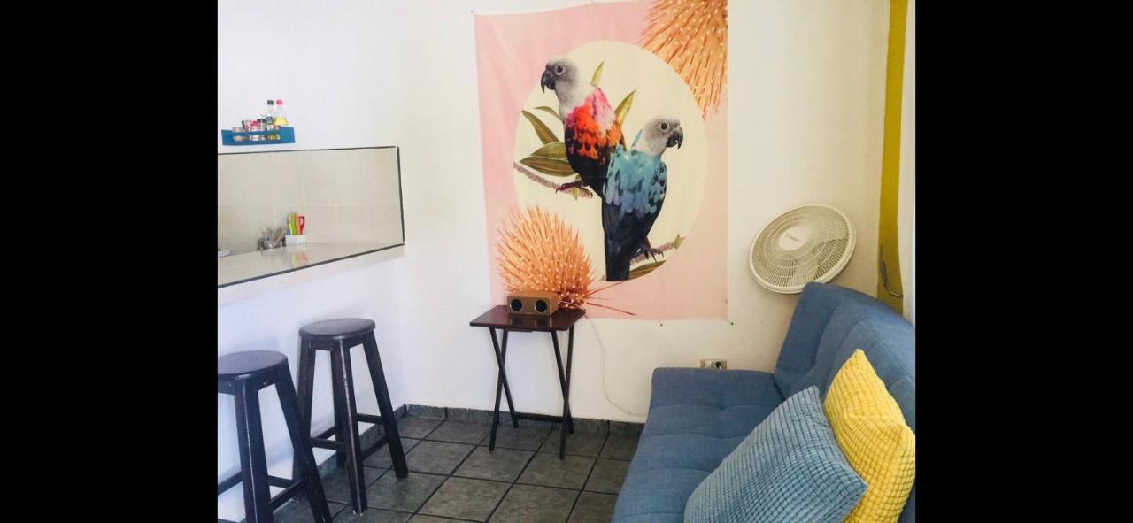 Casa De Hojas Lejlighed Playa del Carmen Eksteriør billede